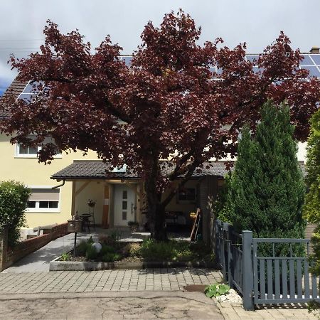 Apartmentvermietung Ingrid Bolkart - Voehlino 2 Illertissen Exterior foto